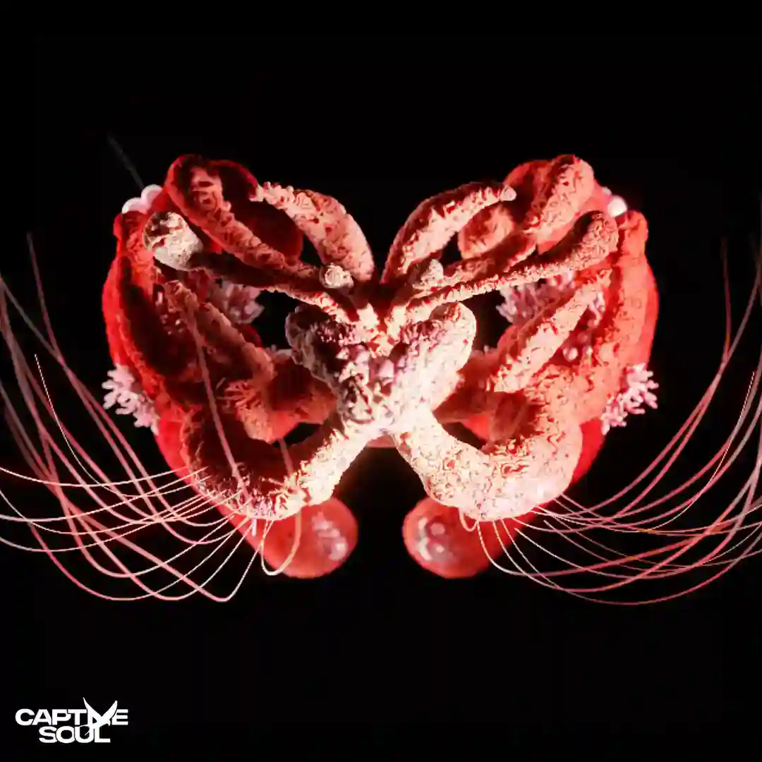 Show Me The Echo (Extended Mix) cover