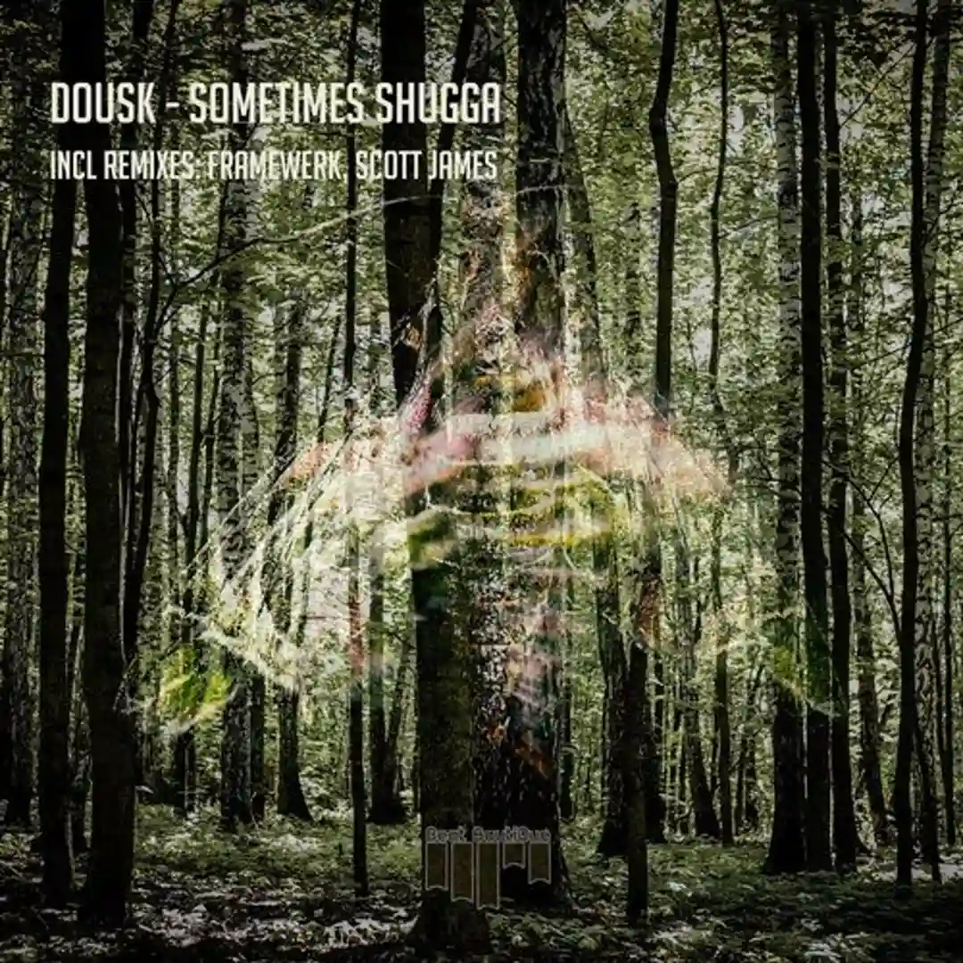 Sometimes Shugga cover
