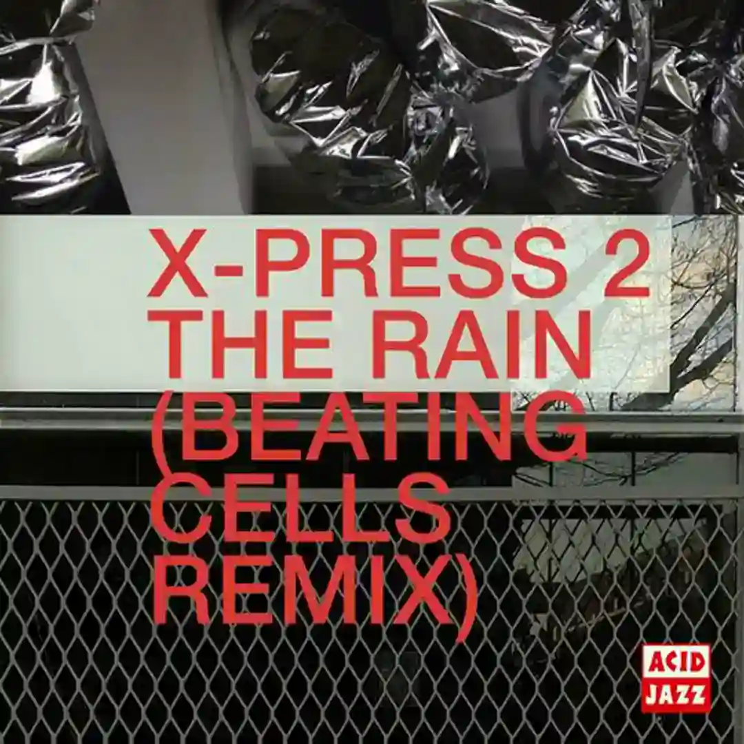 The Rain (Beating Cells Remix) cover