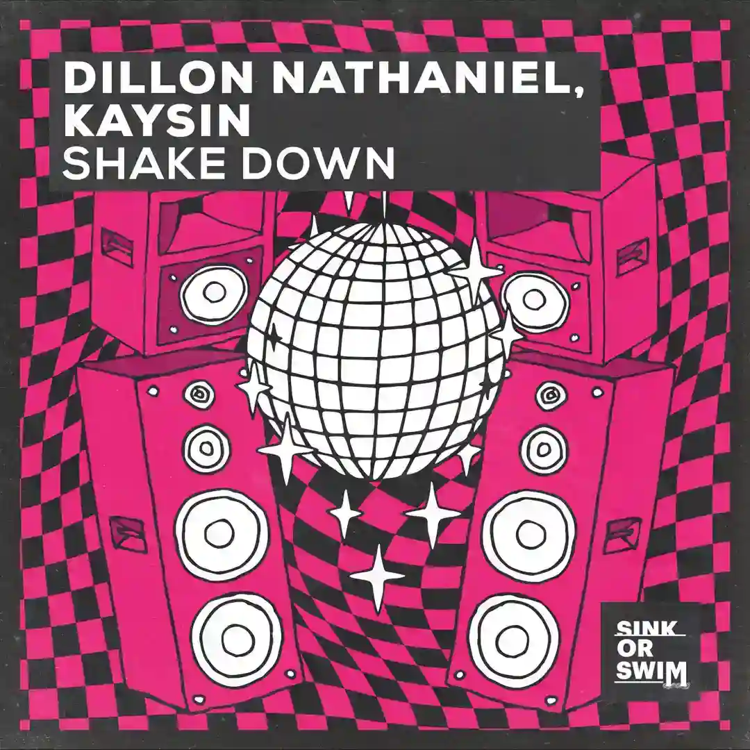 Shake Down (Extended Mix) cover