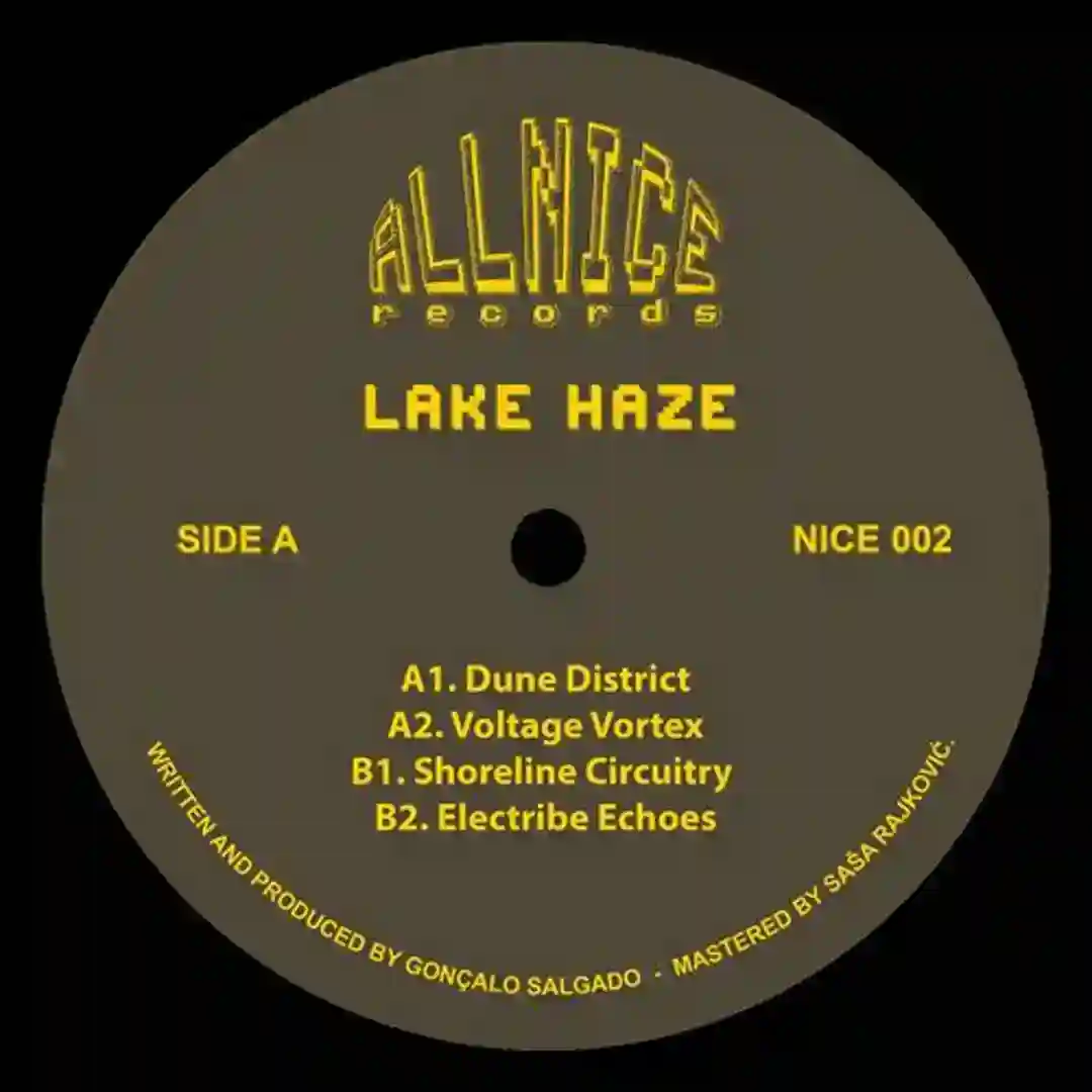 Electribe Echoes cover