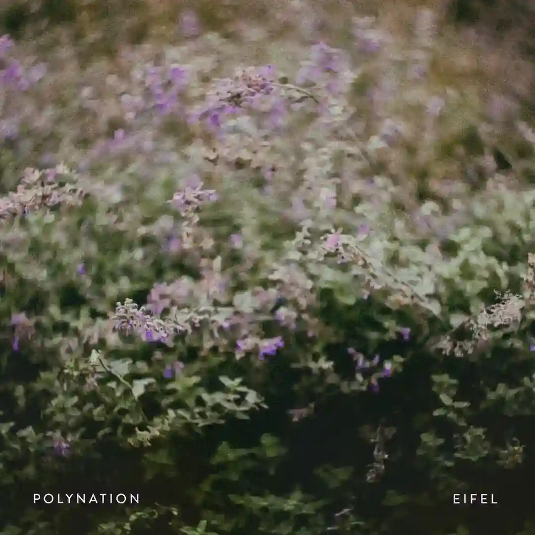 Eifel cover
