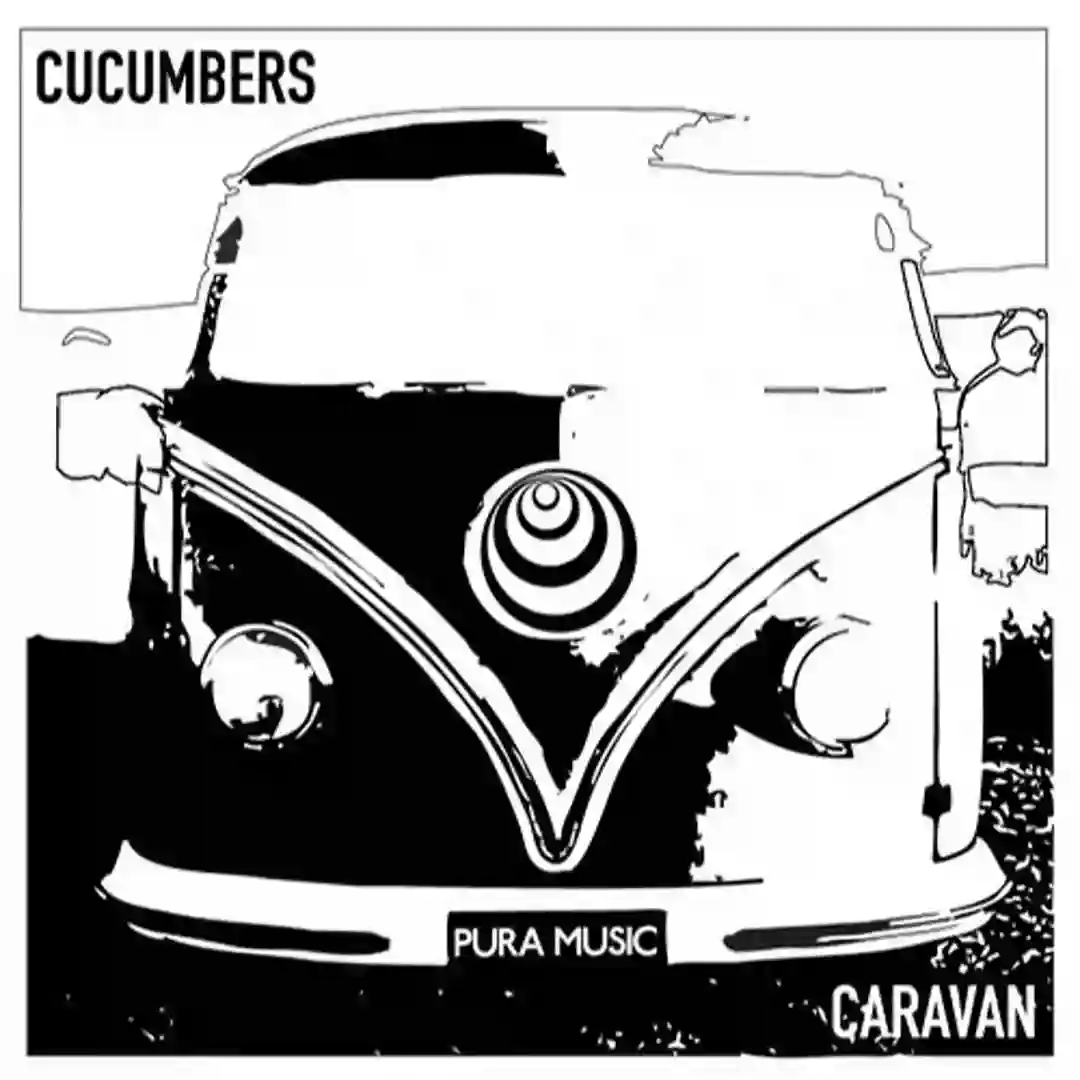 Caravan cover