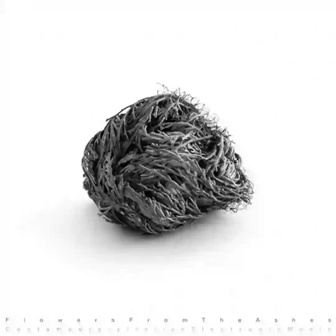 Starving The Mind (Original Mix) cover