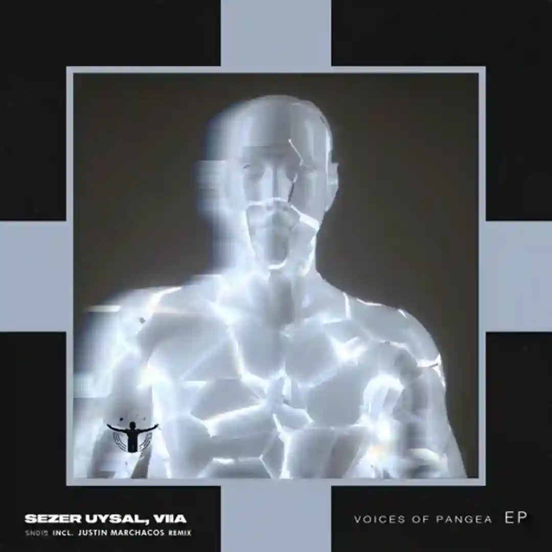 Voices Of Pangea (Justin Marchacos Remix) cover