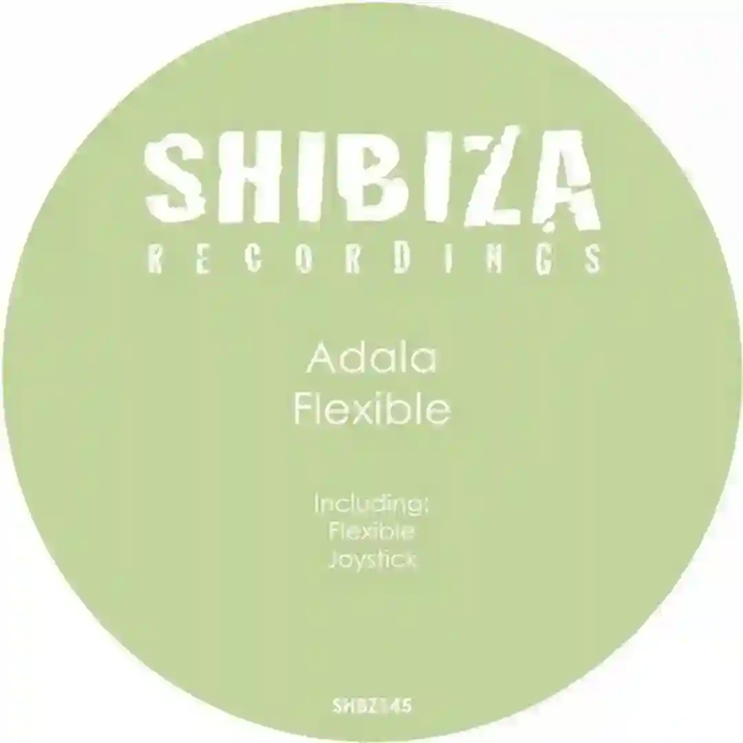 Flexible (Original Mix) cover