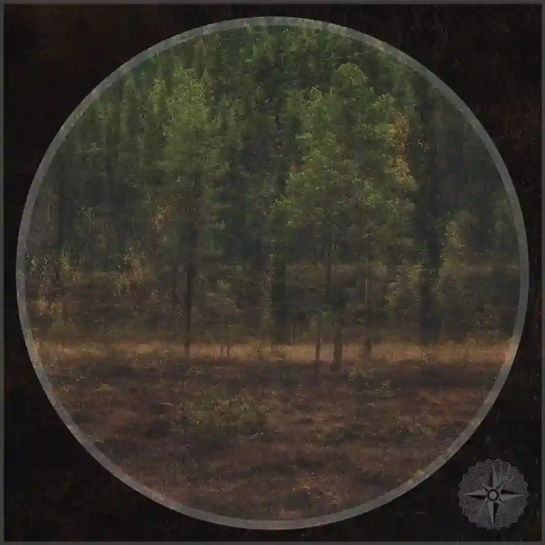 Last Reminiscence (Original Mix) cover