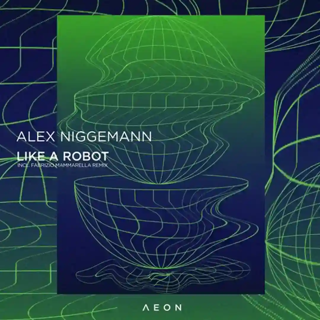 Like a Robot cover