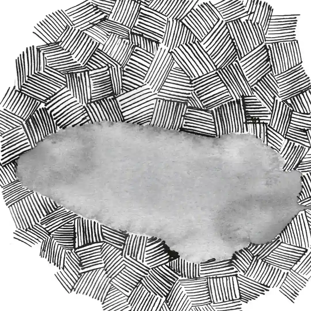 Feli cover