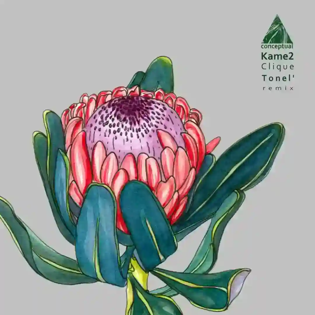 Dianta (Tonel' Remix) cover