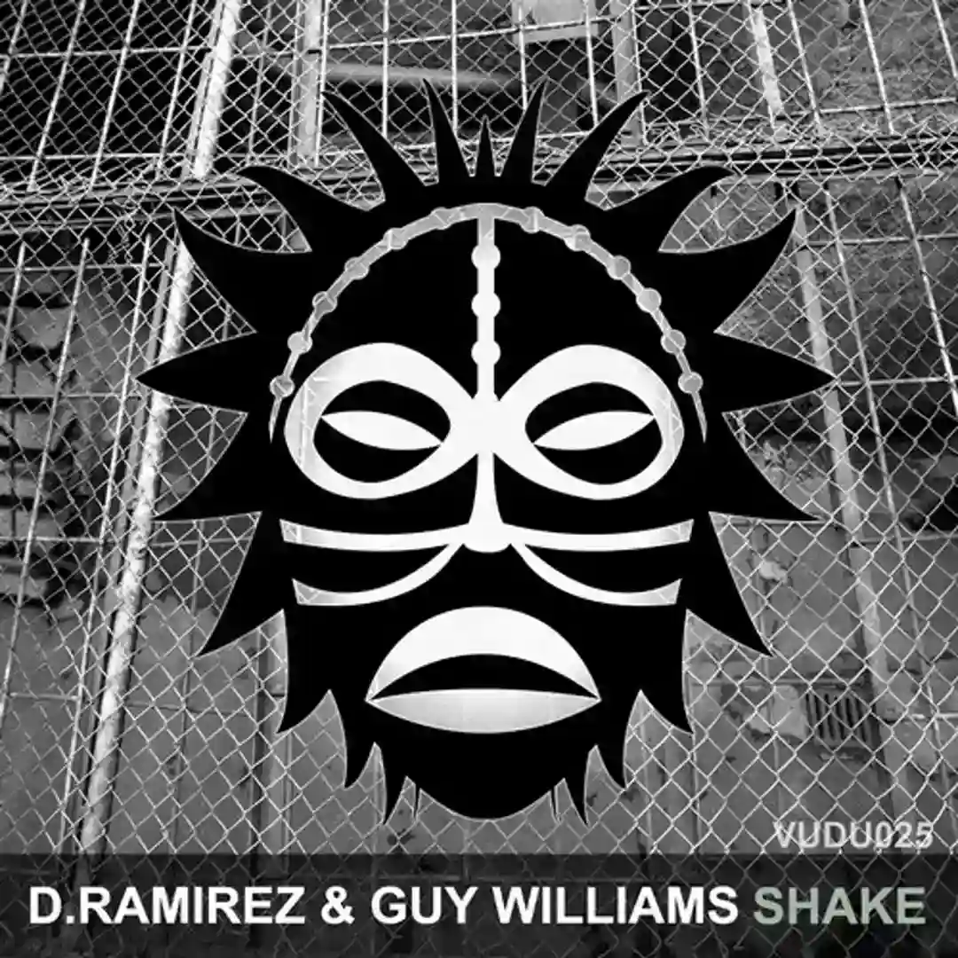 Shake (Original Mix) cover