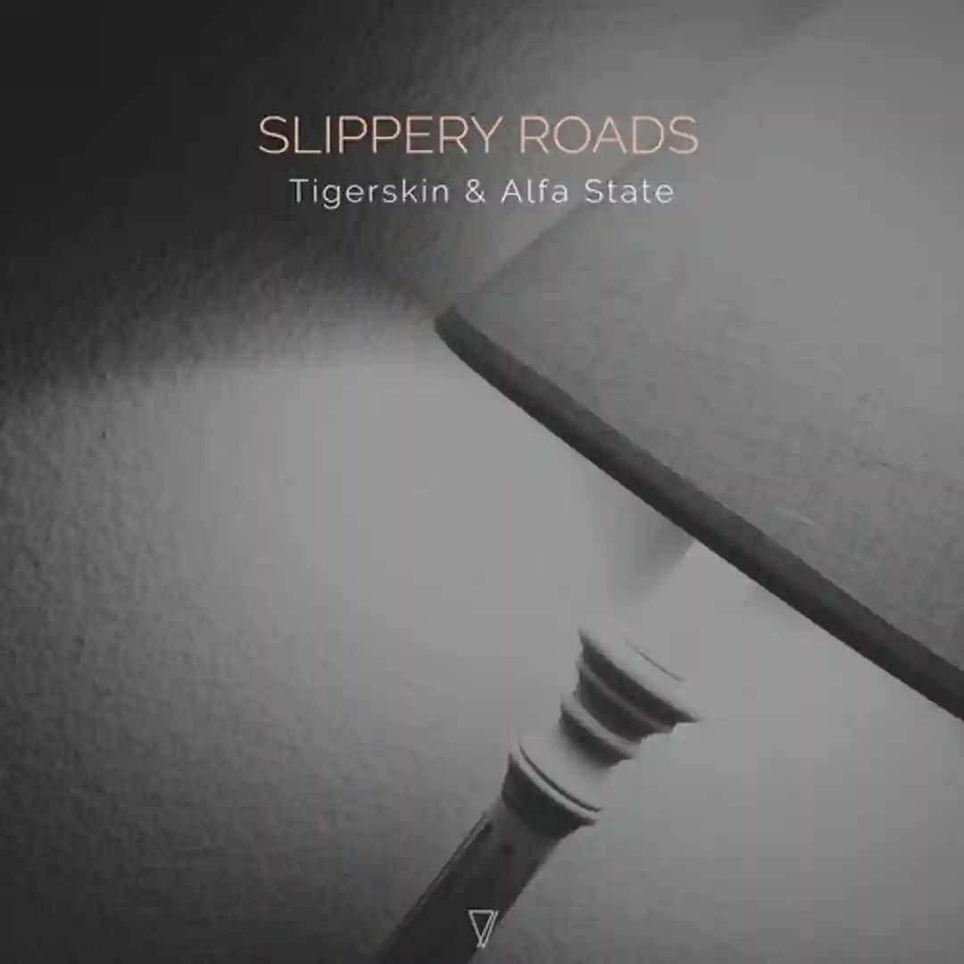 Slippery Roads (Original Mix) cover