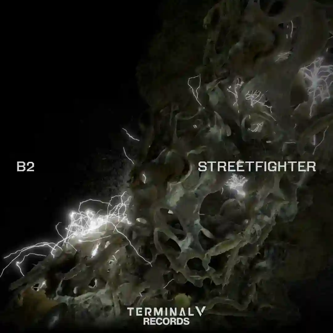 Streetfighter cover