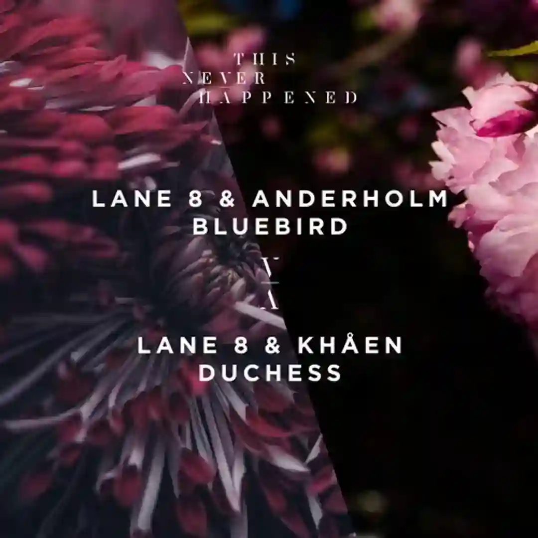 Bluebird / Duchess cover