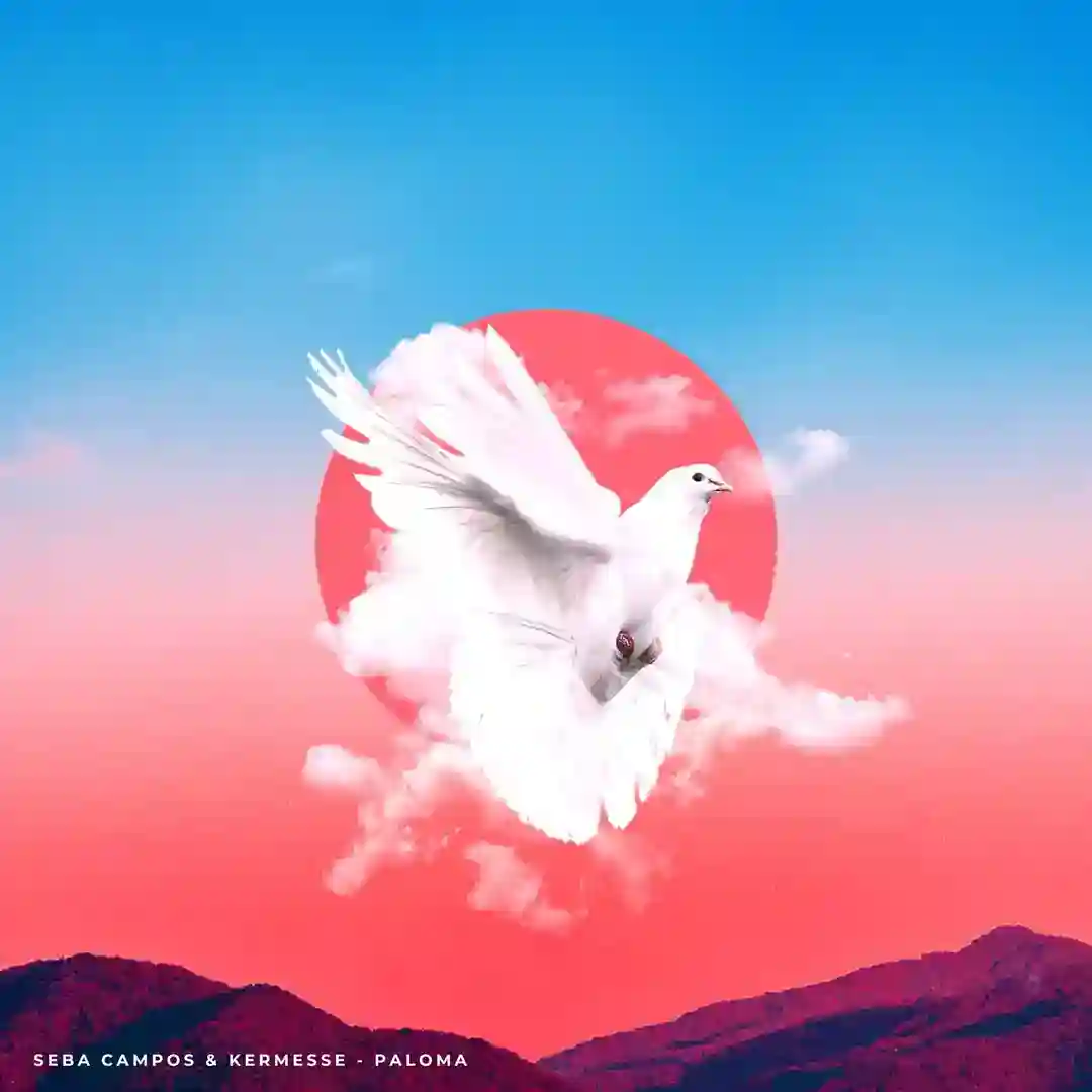 Paloma (Original Mix) cover