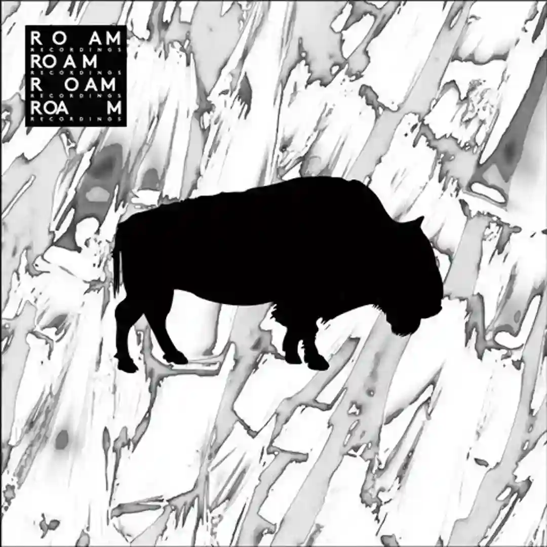 Aula (Black Spuma Remix) cover