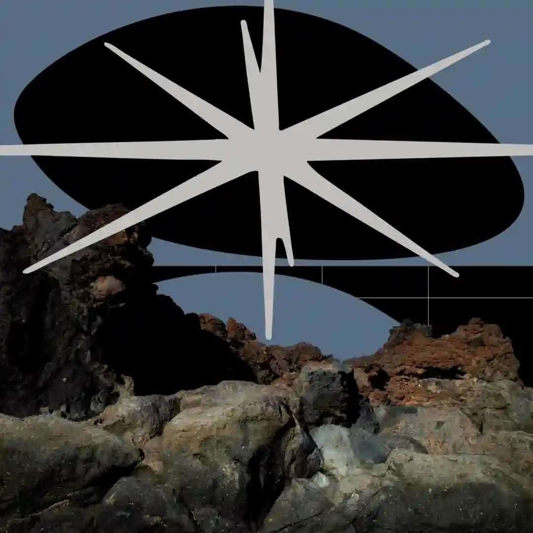 Shelter (Pugilist Remix) cover