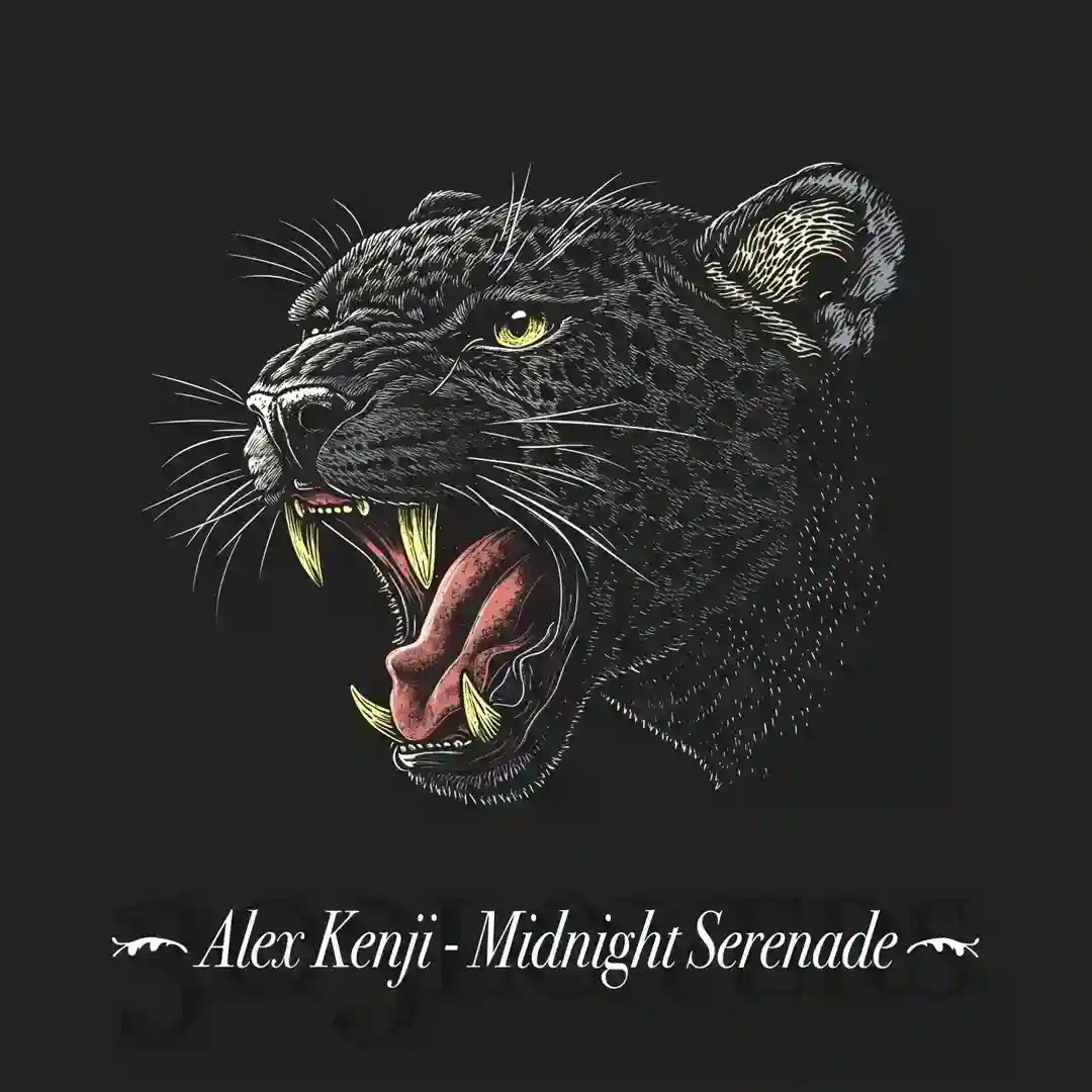 Midnight Serenade (Rough Extended Mix) cover