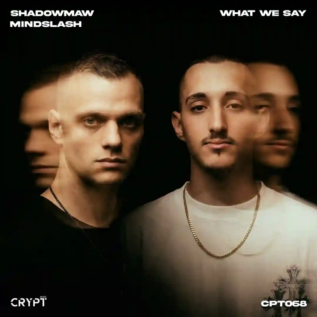 What We Say (Original Mix) cover