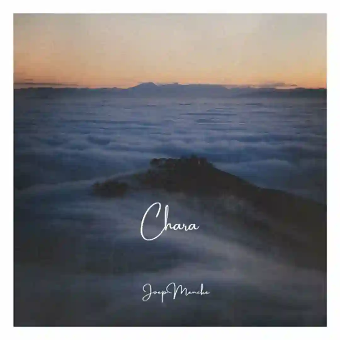 Chara cover