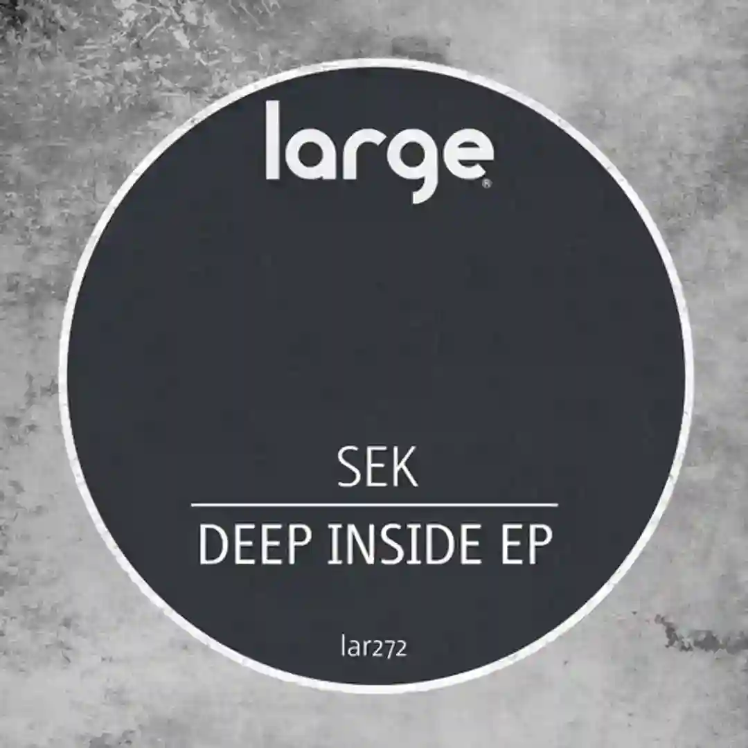 Left Overs (Original Mix) cover