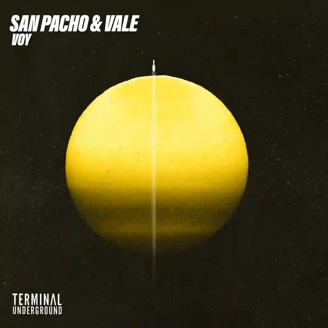 Voy cover