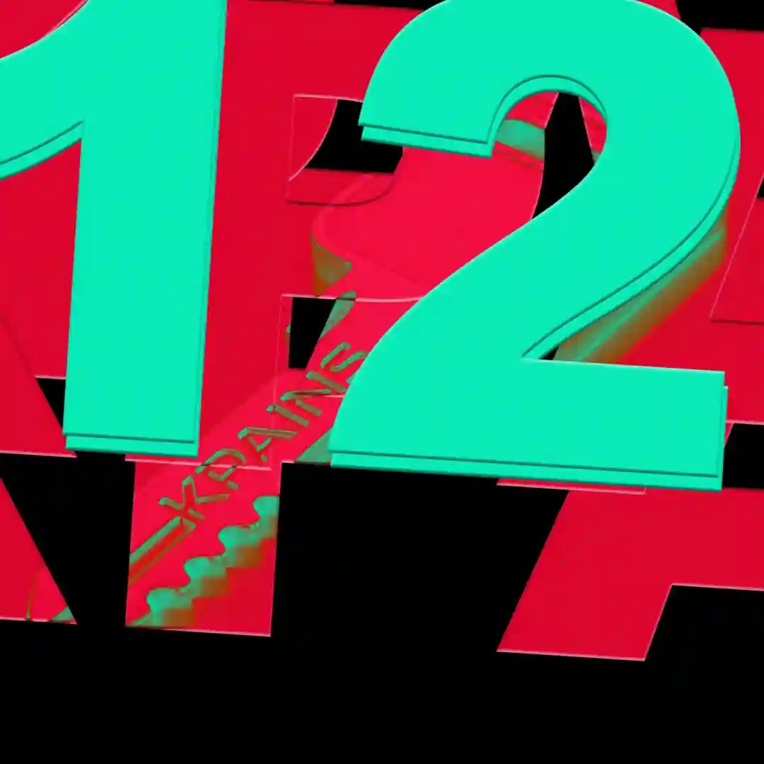 KPAINS12 cover
