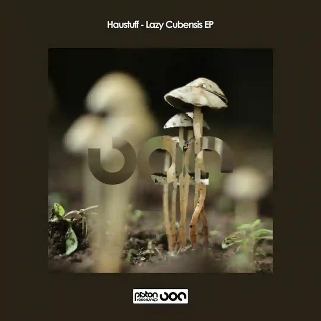 Lazy Cubensis (Original Mix) cover