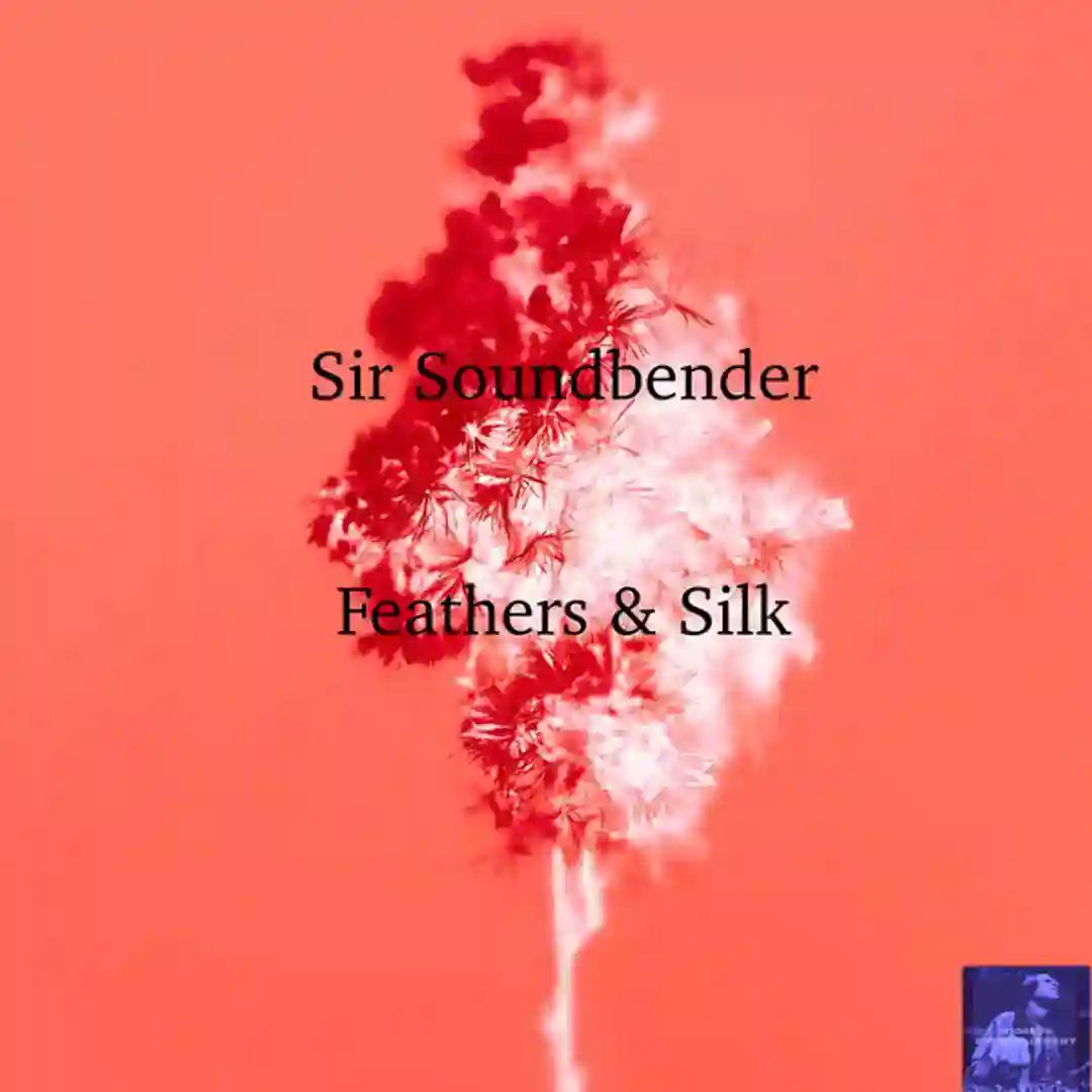 Feathers & Silk (SSB Satin Pad Mix) cover