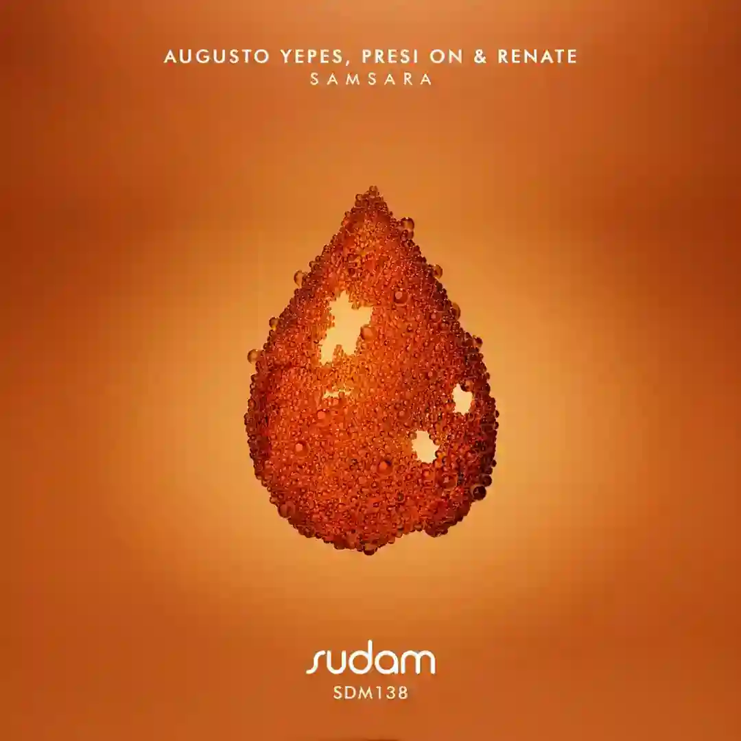 Selvaggio (Original Mix) cover