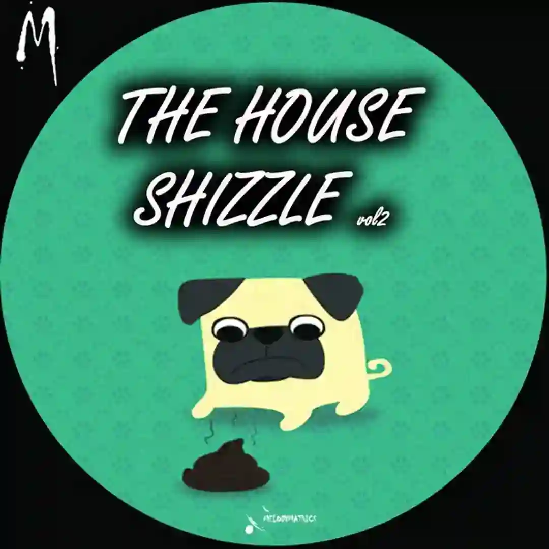 Silk 9 (Original Mix) cover