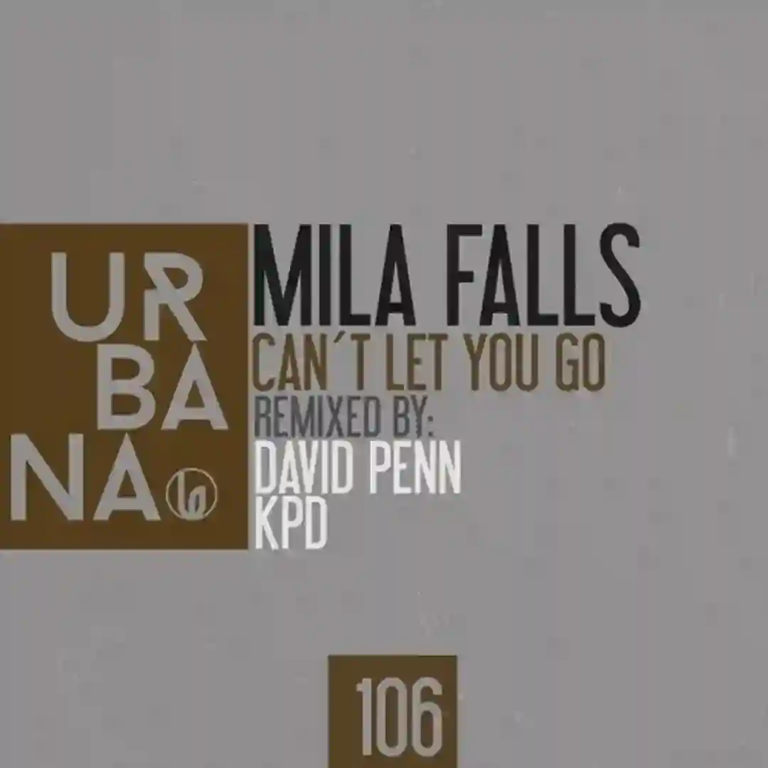 Can´t Let You Go (David Penn Dub) cover