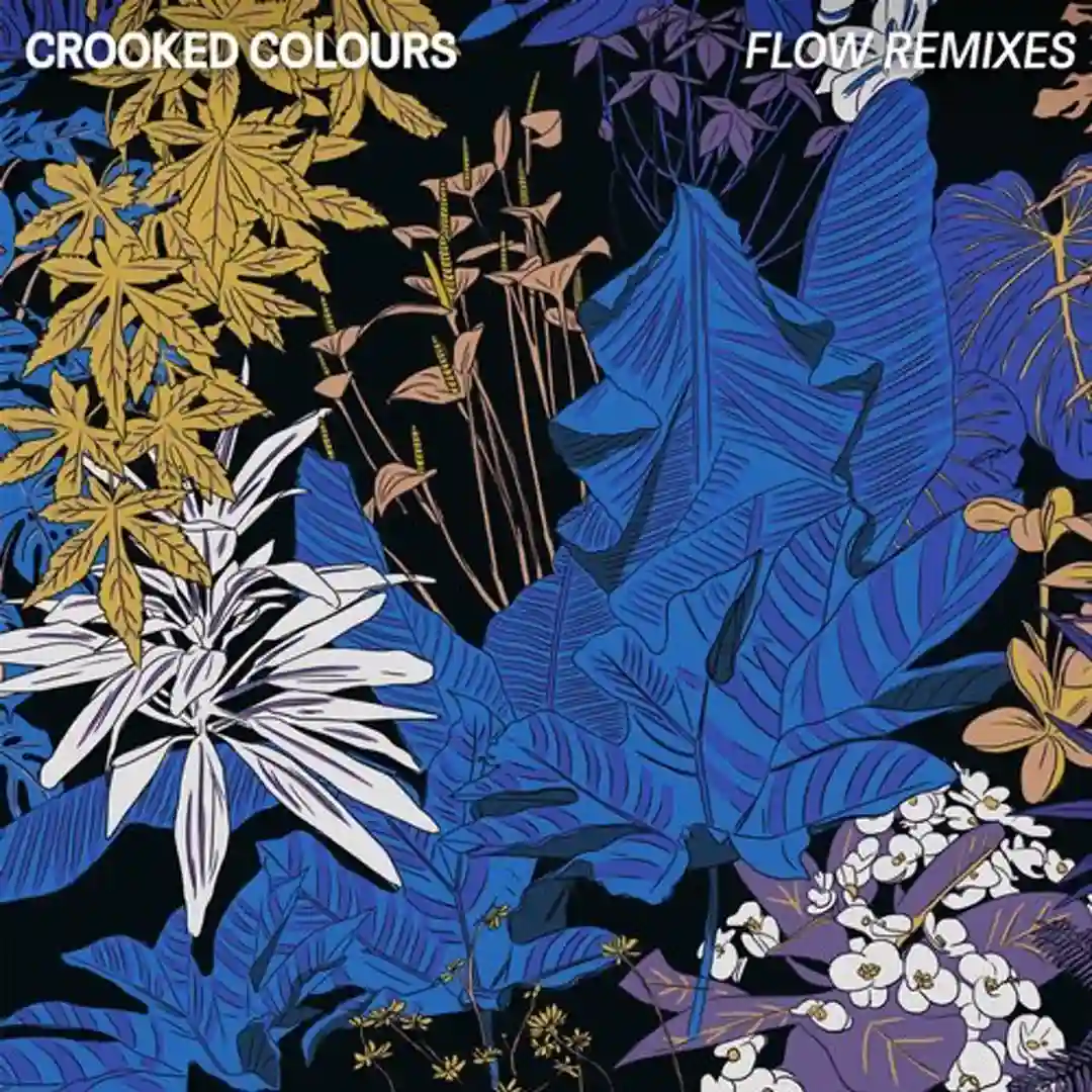 Flow (Remixes) cover