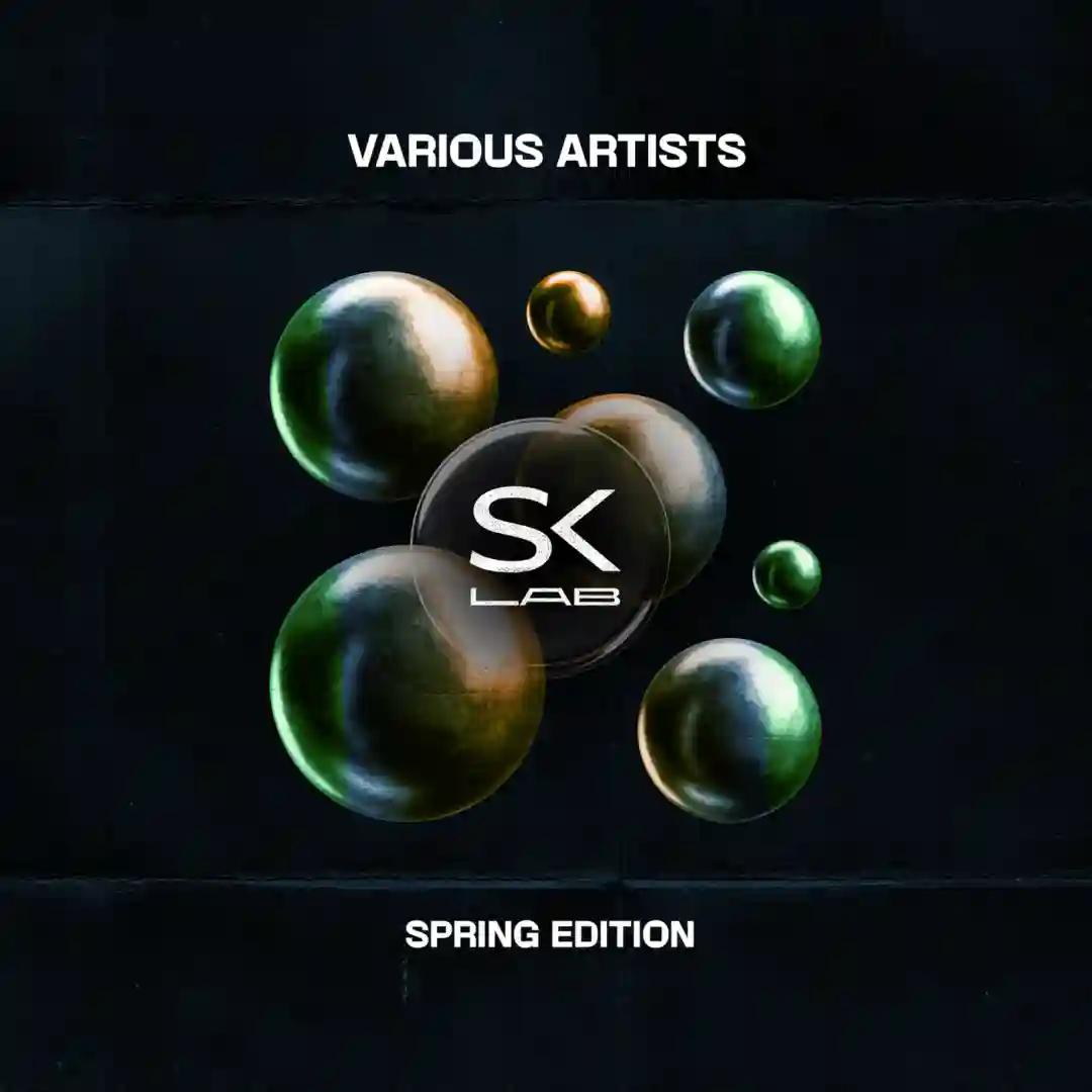 At The Zone (Original Mix) cover