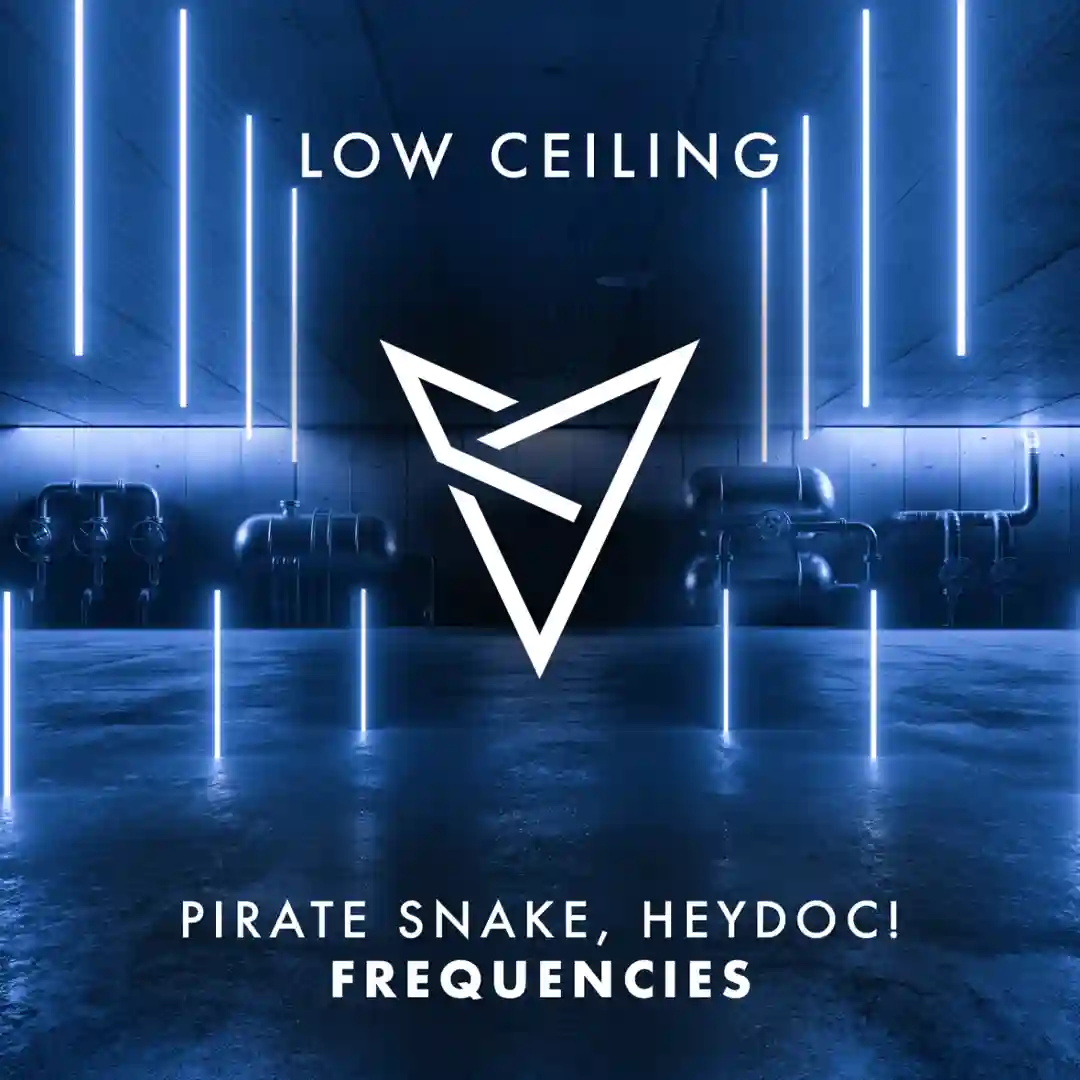 FREQUENCIES (Extended Mix) cover