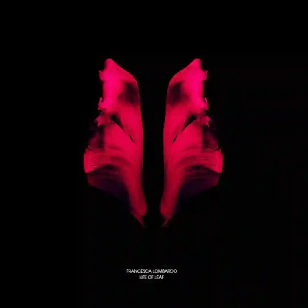 Call Me Wrong (Original Mix) cover
