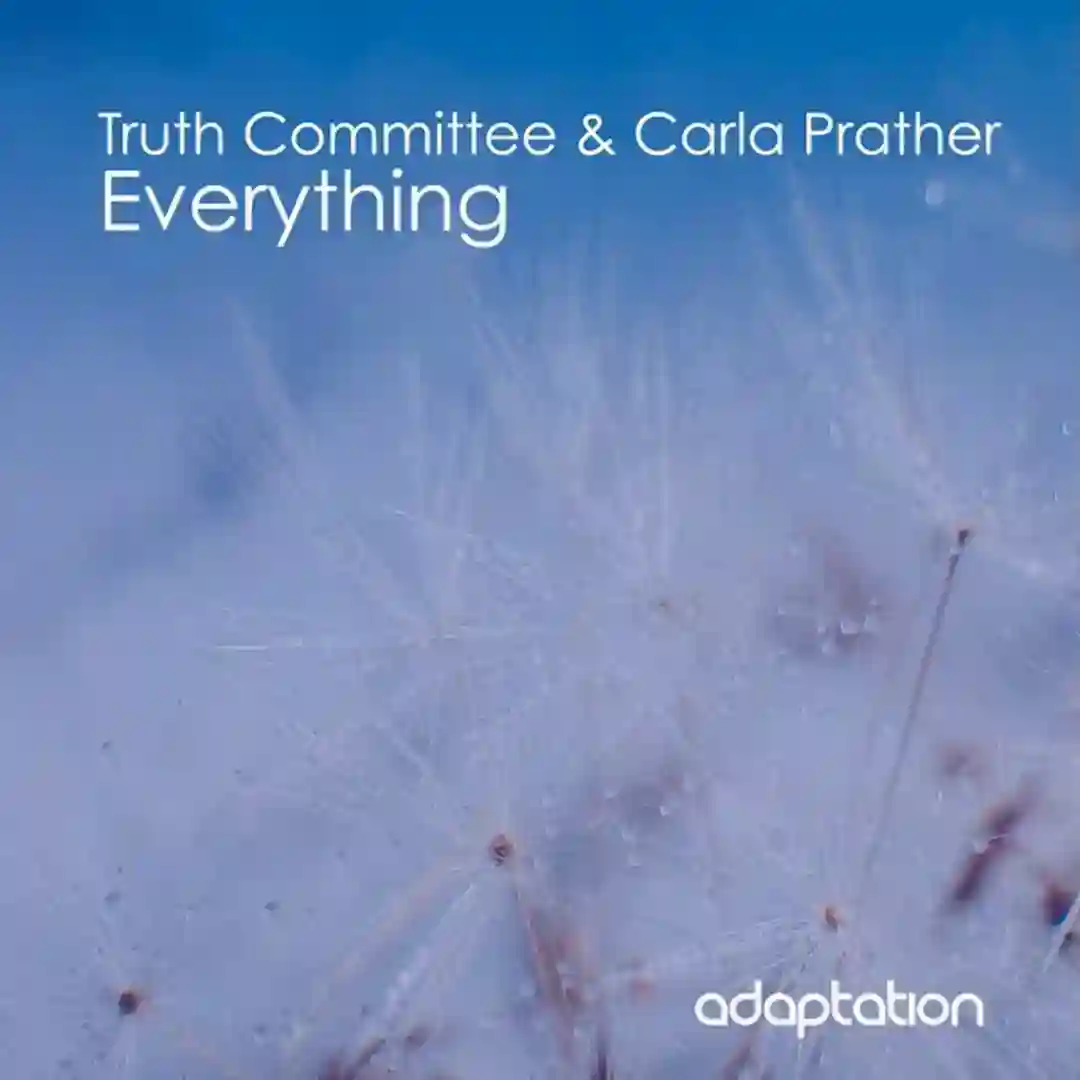 Everything cover