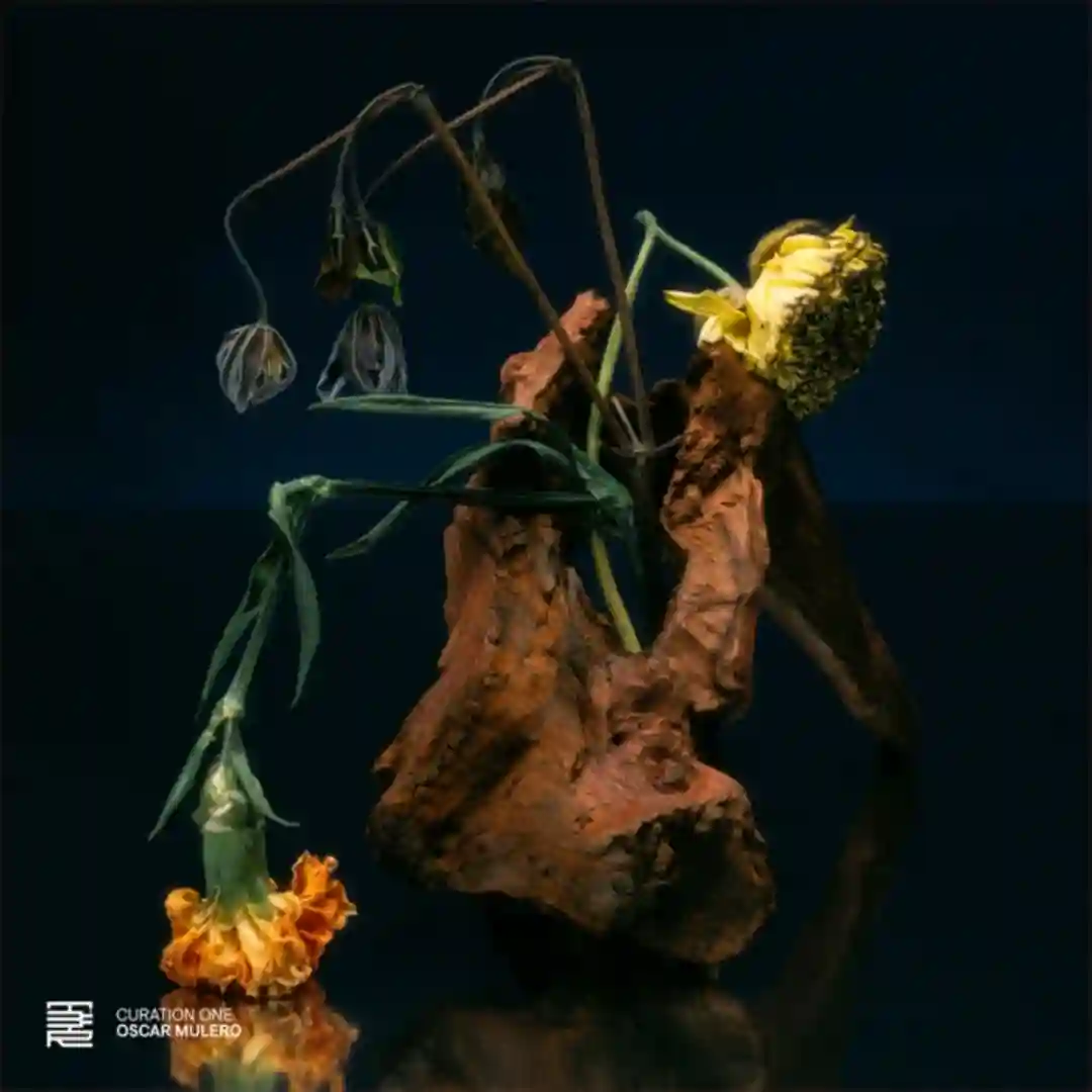 Curation One: Oscar Mulero cover