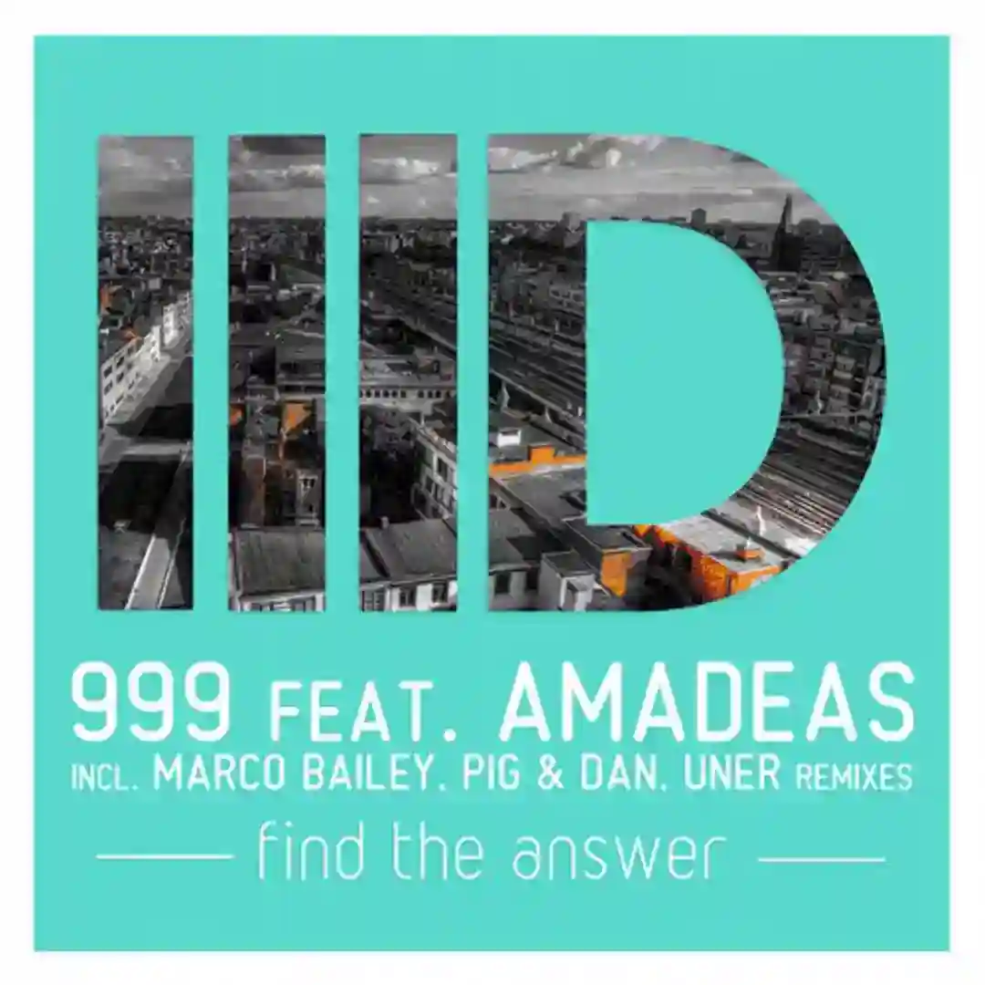 Find The Answer (Original Mix) cover