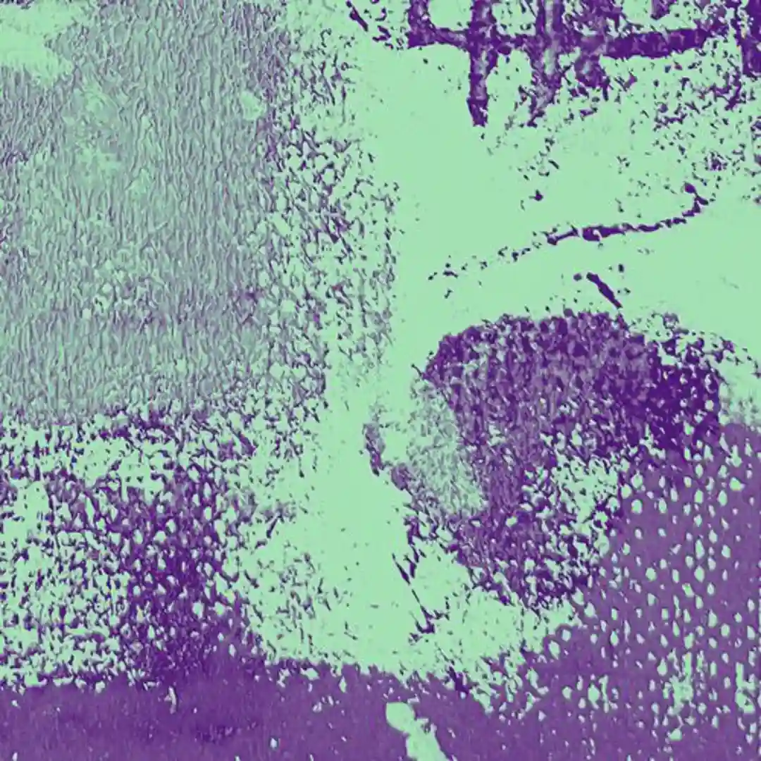 Venus cover