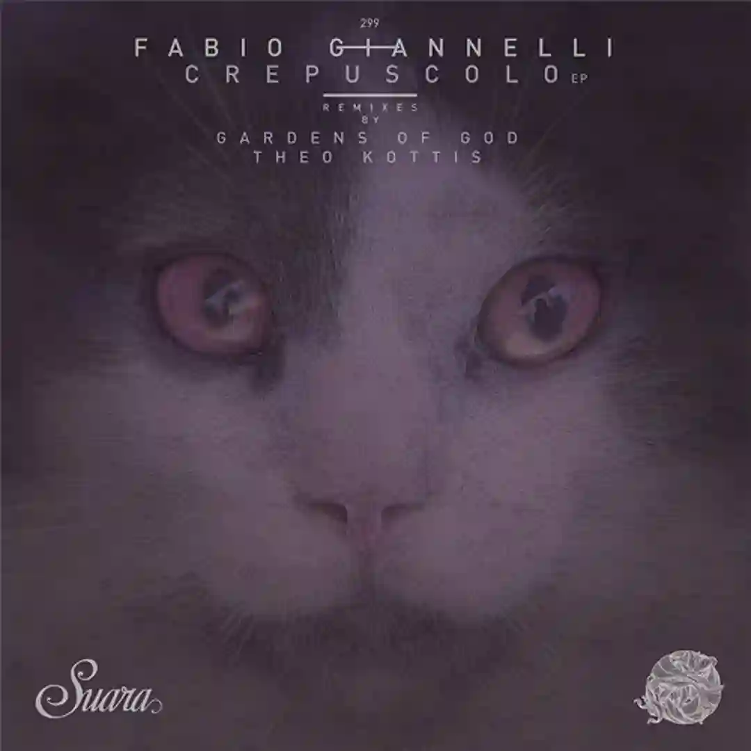 Crepuscolo (Original Mix) cover