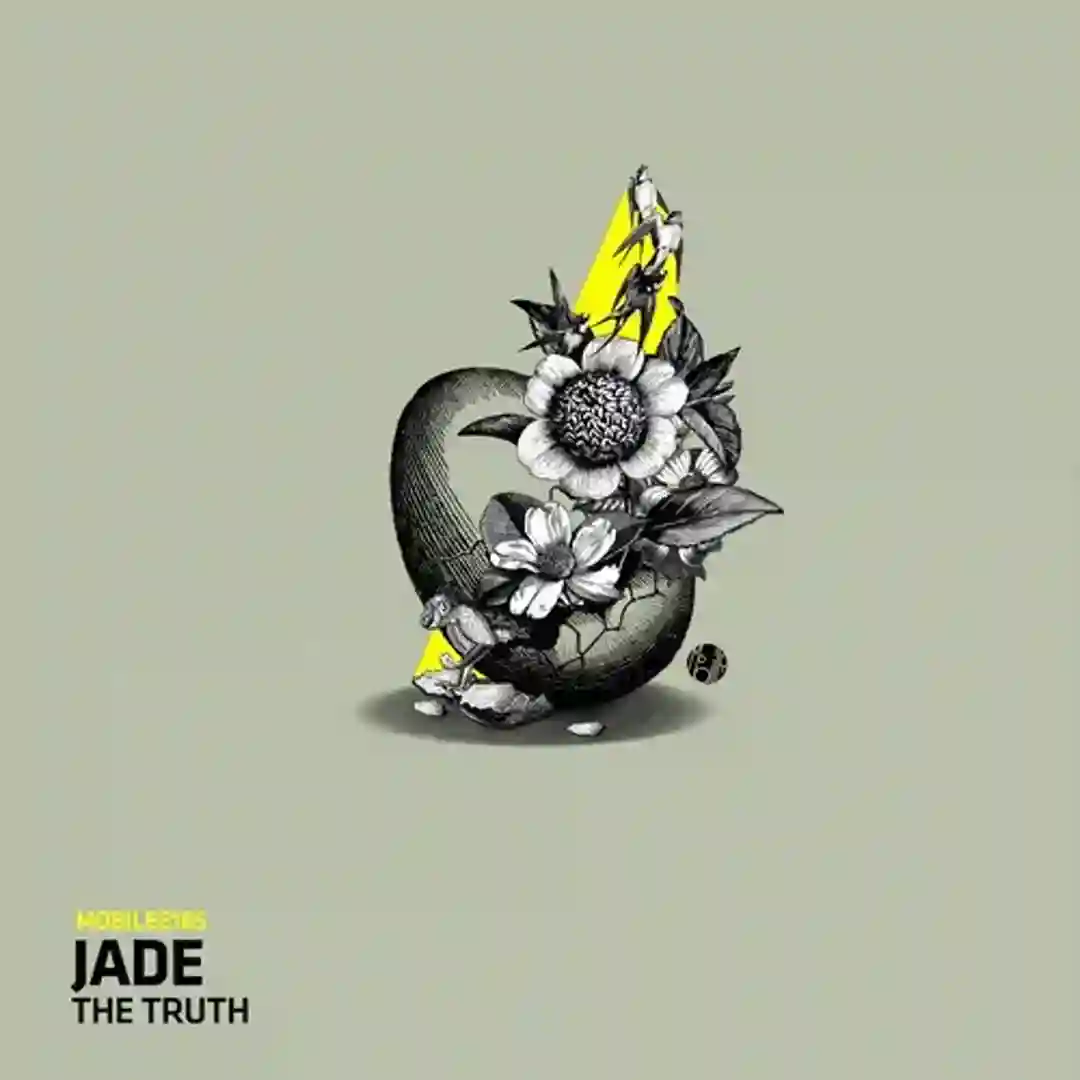 The Truth (Original Mix) cover