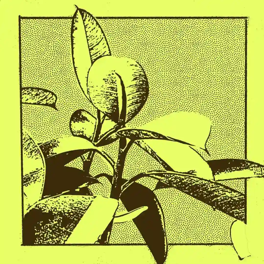 Days Of Innocence cover