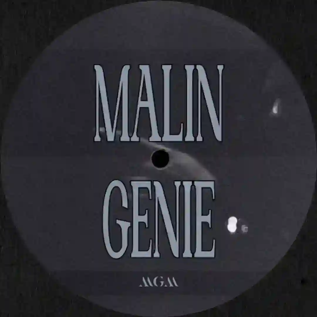 Vixere I / Ii cover