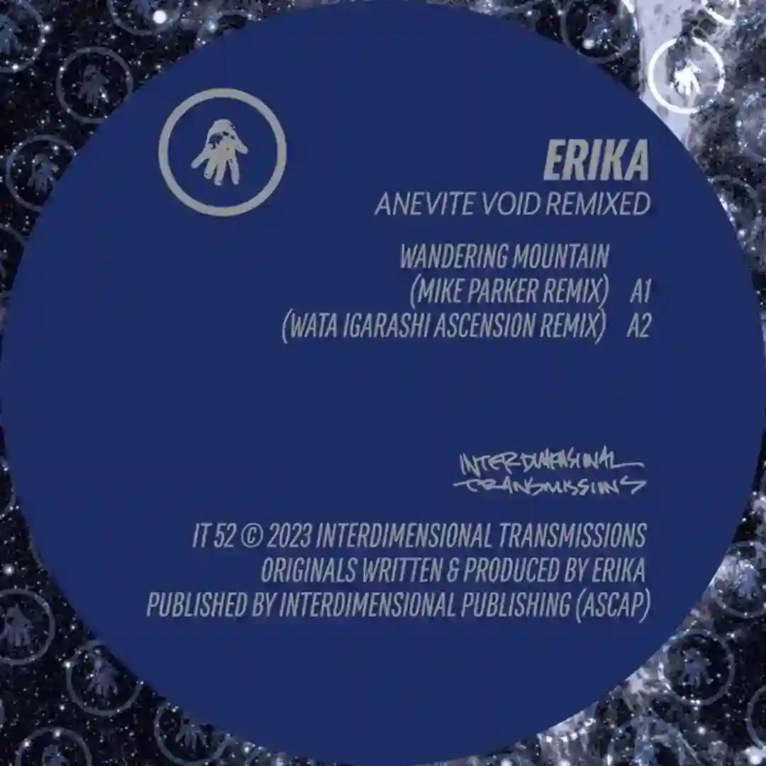 Anion (Noncompliant Remix) cover