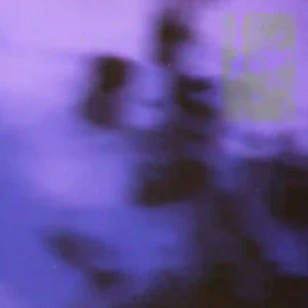 Meursault cover