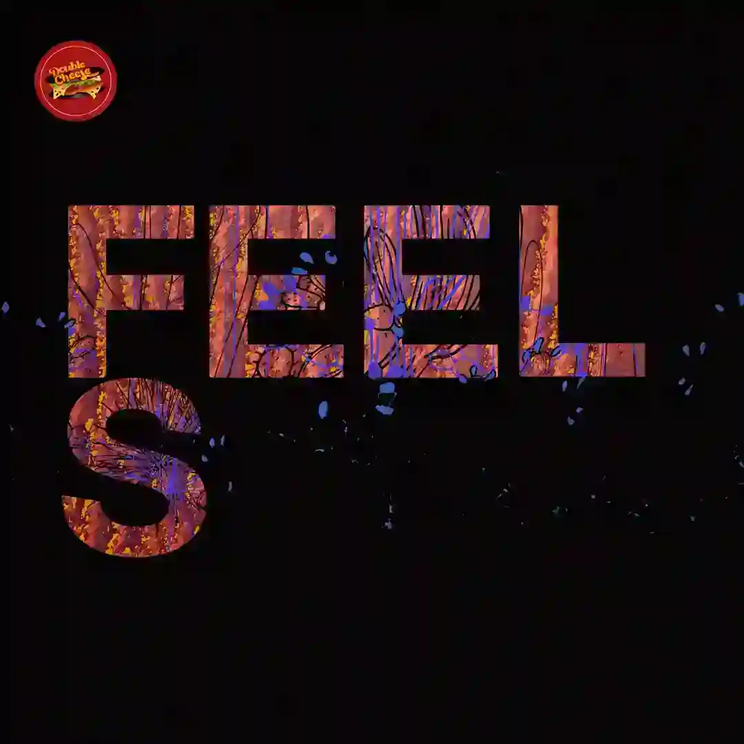 Feels [DCR238] cover
