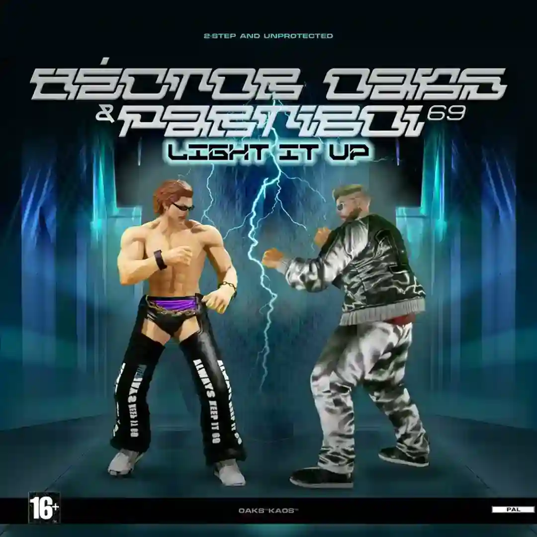 LIGHT IT UP cover