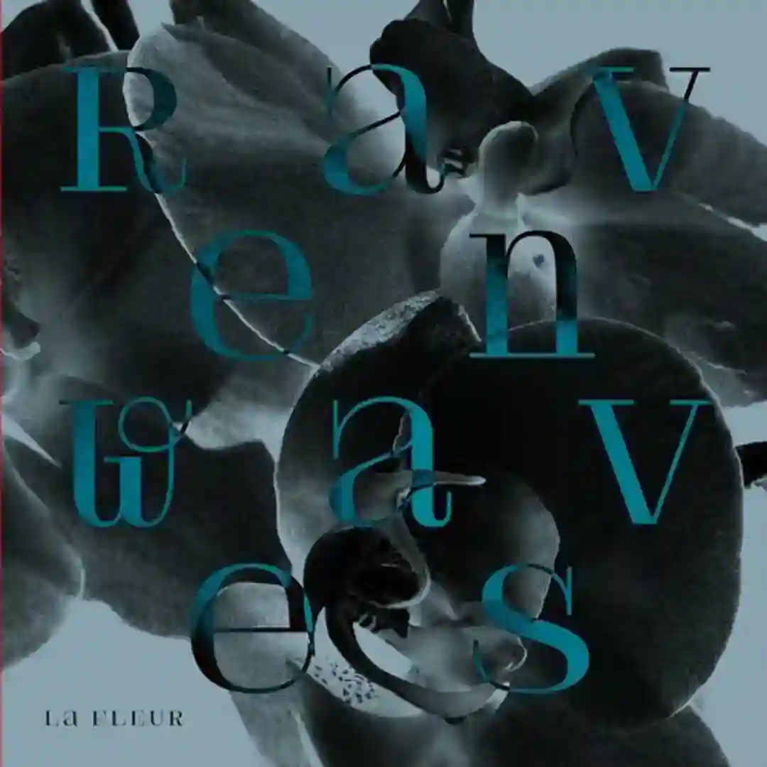 Ravenwaves (Original Mix) cover