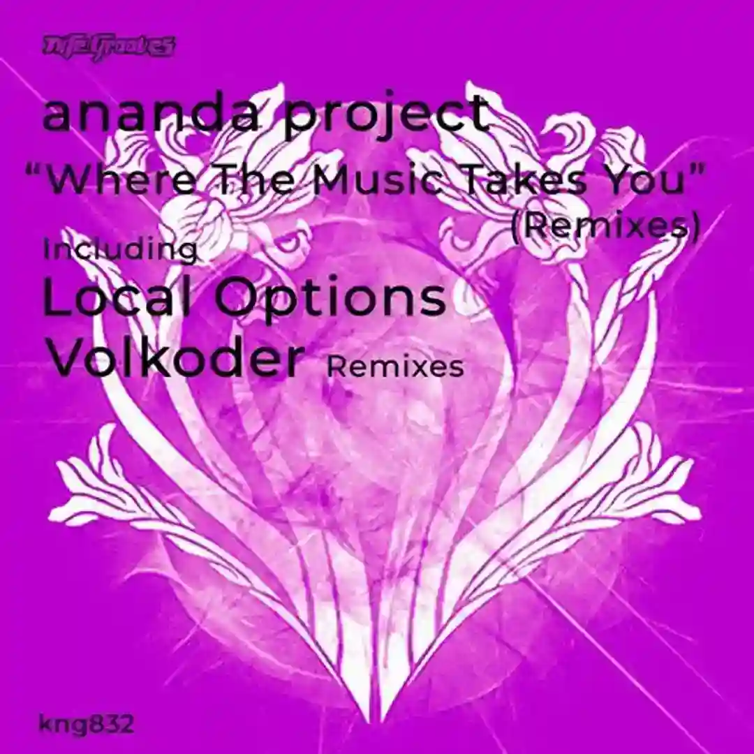 Where The Music Takes You (Original Mix) cover